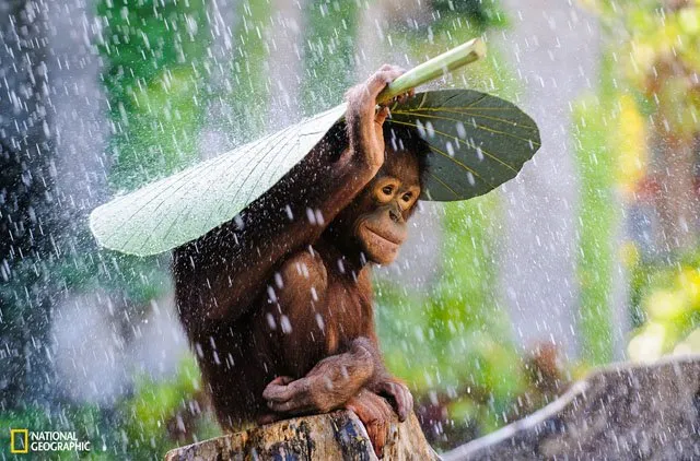 Inilah 12 Foto Traveling Terbaik Hasil Bidikan Fotografer dengan Latar Budaya dan Alam Indonesia. Mana yang Kamu Suka? 24