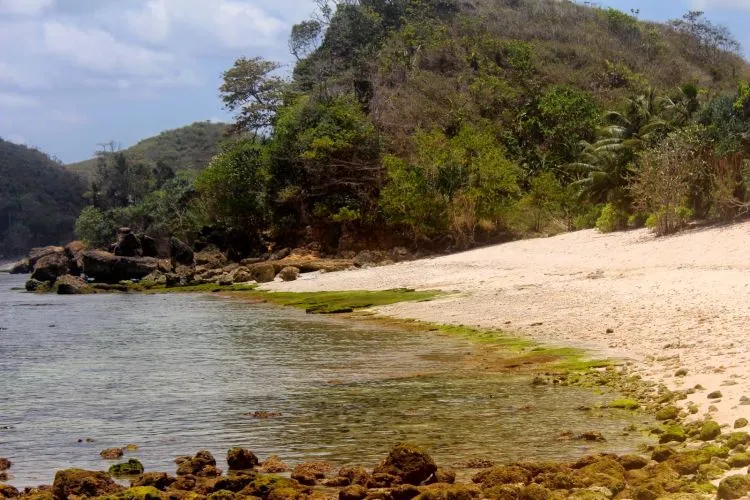 Bingung Liburan Mau Camping Ke Mana? 8 Destinasi di Malang Ini Wajib Kamu Coba! 11
