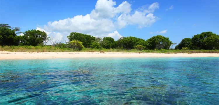 Satu Lagi Surga Dunia dari Pulau Bali, Pulau Menjangan! Wisata Bahari dan Religi Bisa Kamu Lakukan di Sini! 11