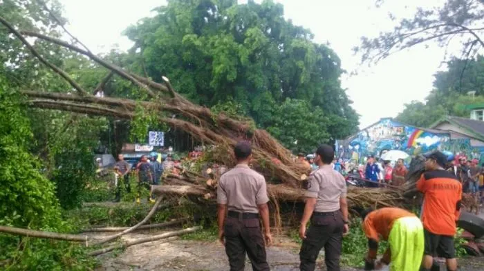 Cuaca Ekstrim di Jogja Harus Kamu Waspadai! Hati-hati ya, Jangan Sampai Ada Korban Lagi! 8