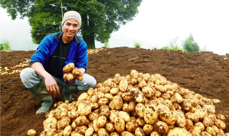 9 Profesi Ini Layak Kamu Pertimbangkan. Meski Sedikit Peminat, Mereka Punya Peluang Besar di Masa Depan 15