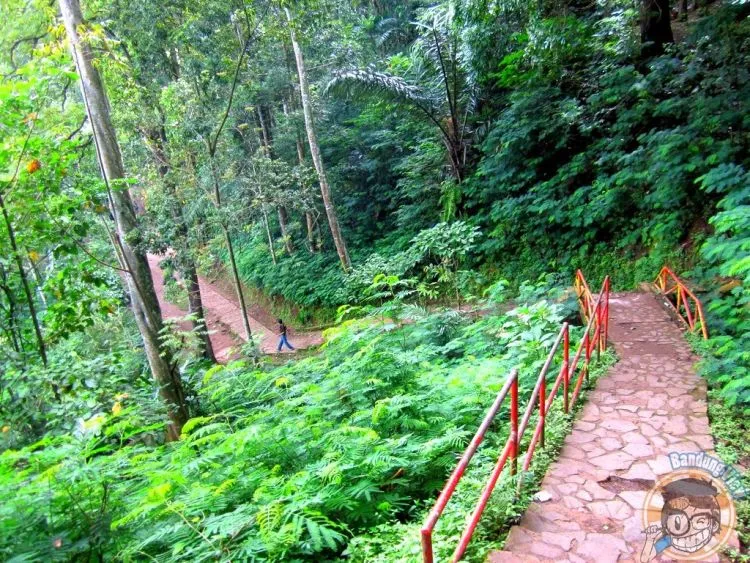 Bingung Mau Liburan Ke Mana? Kunjungi saja 9 Taman Tercantik di Indonesia Ini! 17
