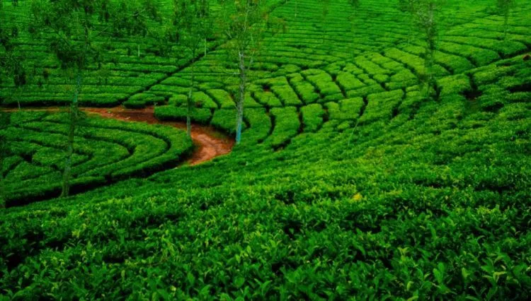 Tempat Wisata di Tasikmalaya yang Keren & Indah 23