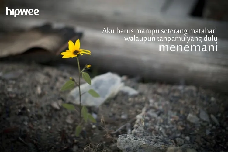 Kamu Boleh Sakit Karena Patah Hati, Tapi Segeralah Bangkit dan Ingat 15 Quotes yang Akan Menguatkanmu Ini! 18