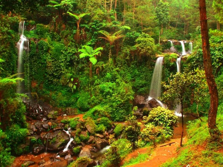 Selain Gadisnya yang Cantik-cantik, Magelang Punya Banyak Destinasi Wisata yang Cemerlang nan Gemilang! 15