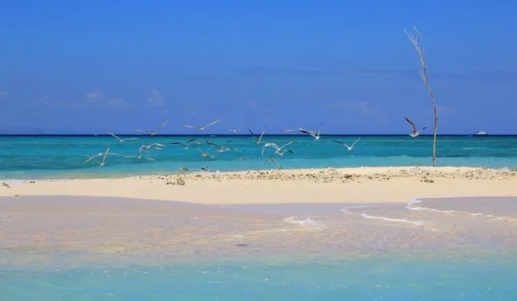 10 Gili dengan Pemandangan Bawah Laut yang Memukau Para Pecinta Snorkeling! Mana Favoritmu, Travelers? 17