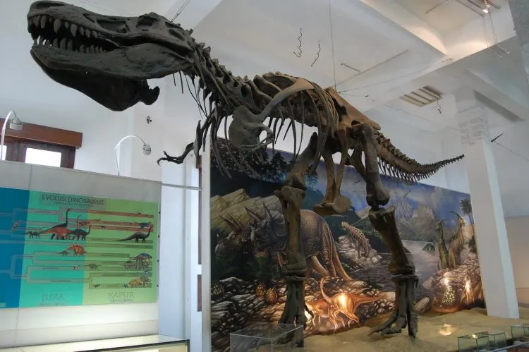 10 Museum Paling Unik Di Indonesia yang Nggak Akan Bikin Kamu Kecewa! Kapan Maen Ke Sana? 18