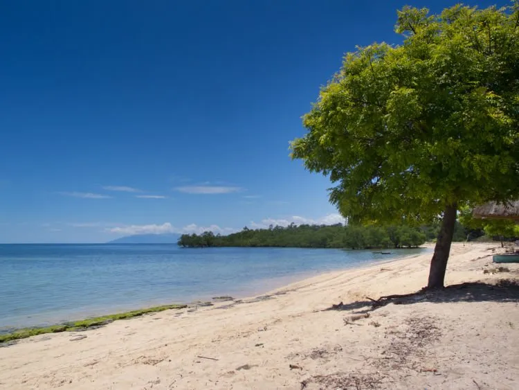 Panorama Garis Batas Indonesia Bagian Selatan Memang Mengagumkan! Ayo jelajahilah Pulau Timor yang Elok nan Rupawan! 10