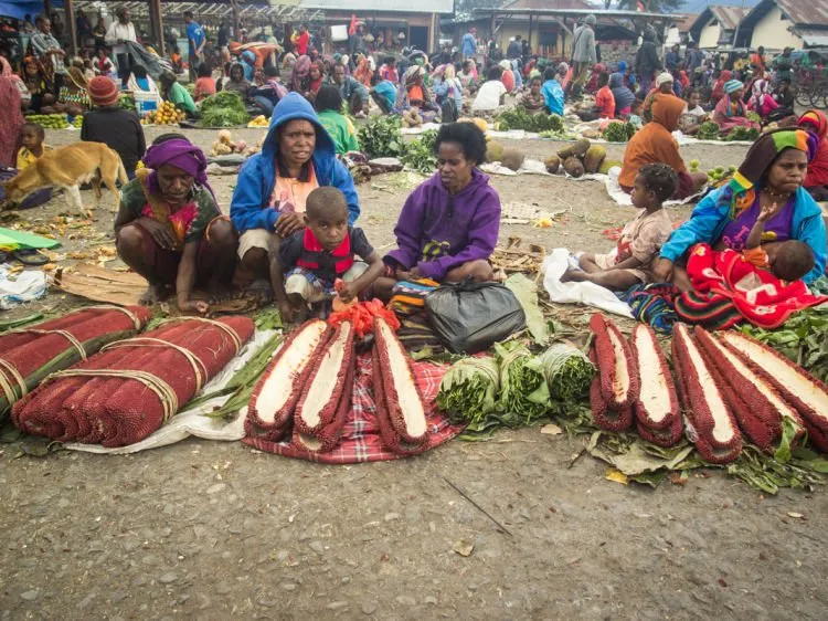 Merasakan Langsung Nuansa Keindahan Alam Papua di Lembah Baliem, Wamena. Negeri Dongeng di Timur Indonesia! 13