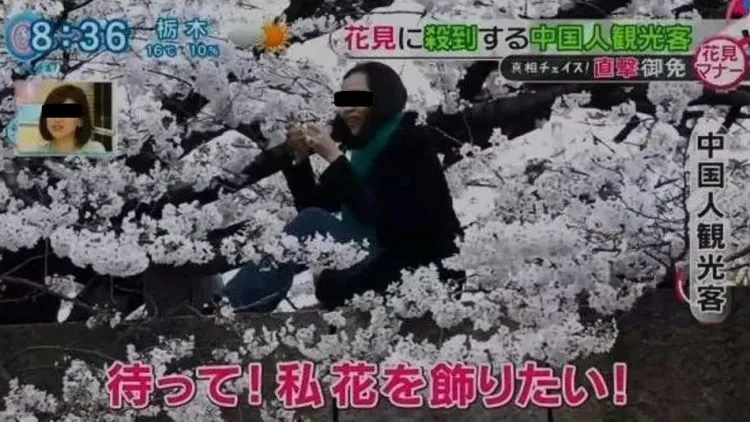 Demi Selfie Yang Eksentrik, Mereka Rela Merusak Keindahan Sakura! Semoga Ini yang Terakhir Kalinya Terjadi! 10