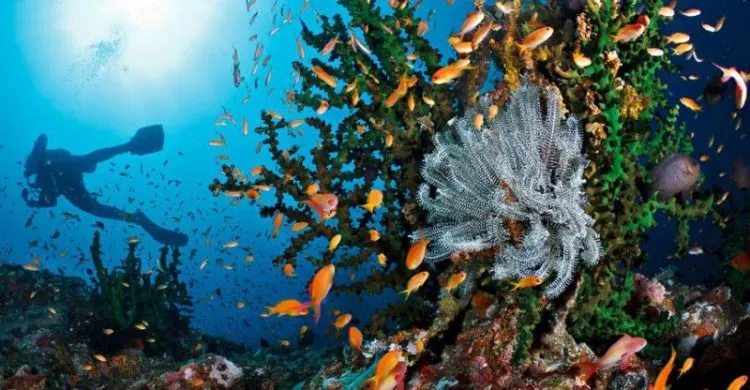 Melanglang ke Sabang, Kota di Ujung Barat Indonesia! Berikut Ini Panduan Backpacker Ke Sana! 14