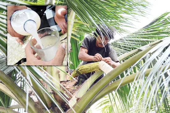 Kuliner Lezat Ini Nggak Boleh Dilewatkan Kalau Lagi di Medan! Rasanya Nikmat Tak Tertahankan! 18