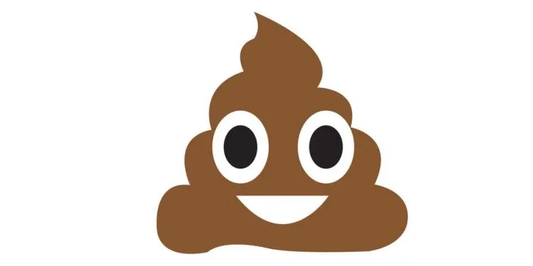 Buat Kamu yang Lagi PDKT Sama Cewek, 9 Emoticon WhatsApp Ini Akan Bantu Kamu Menebak Isi Hatinya. Kira-kira Bakal Ditolak Atau Diterima? 18