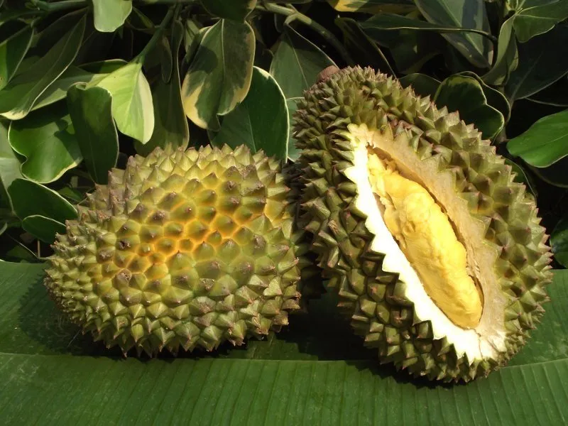 Kamu Suka Mabuk Perjalanan? Praktekkan Kiat-kiat Ini Biar Liburanmu Menyenangkan! 17