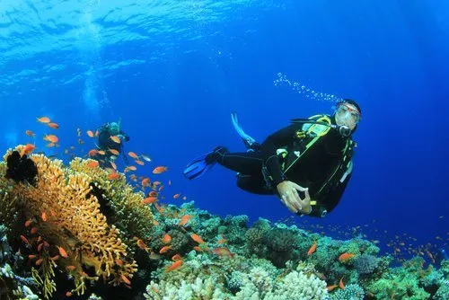 10 Gili dengan Pemandangan Bawah Laut yang Memukau Para Pecinta Snorkeling! Mana Favoritmu, Travelers? 15
