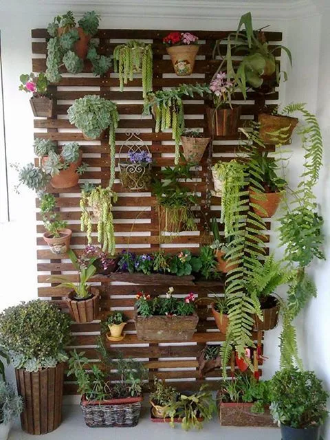 13 Inspirasi Vertikal Garden Indoor & Outdoor Minimalis 23