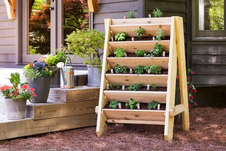 13 Inspirasi Vertikal Garden Indoor & Outdoor Minimalis 24