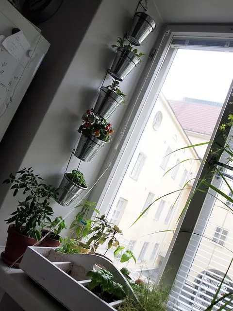 13 Inspirasi Vertikal Garden Indoor & Outdoor Minimalis 26