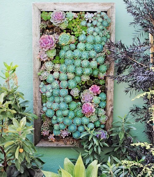 13 Inspirasi Vertikal Garden Indoor & Outdoor Minimalis 15
