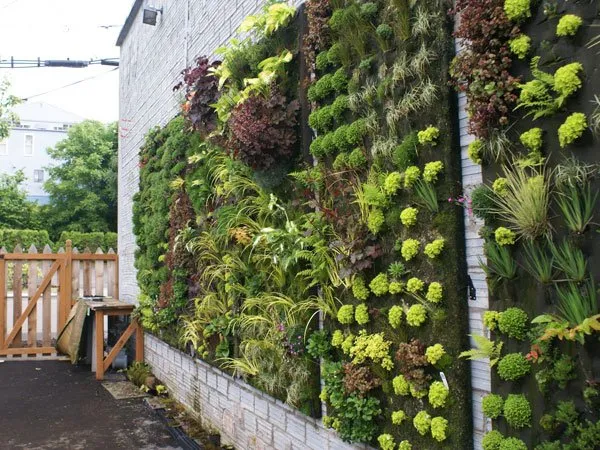 13 Inspirasi Vertikal Garden Indoor & Outdoor Minimalis 19