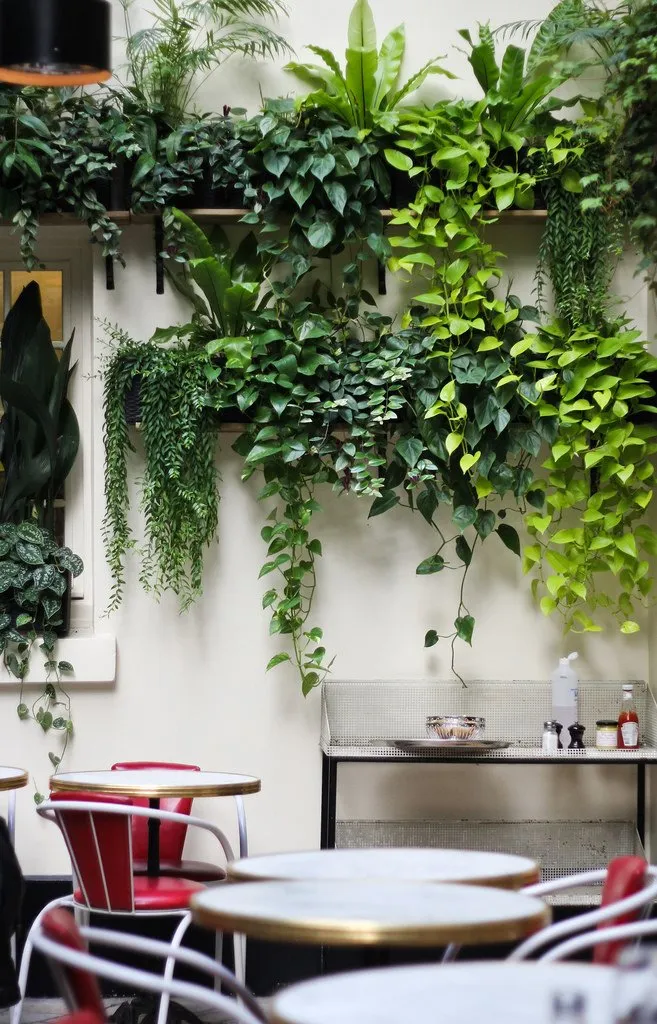 13 Inspirasi Vertikal Garden Indoor & Outdoor Minimalis 20