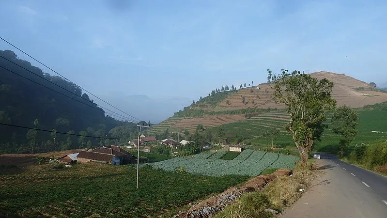 Patah Hati Bukan Untuk Diratapi, Traveling ke Destinasi Indah di Malang Ini Bisa Bikin Hatimu Terobati! 13