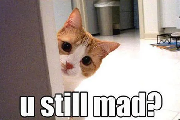 you still mad?
