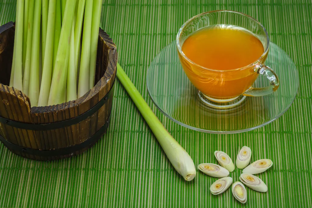 7 Resep Minuman Hangat yang Nikmatnya Selevel Sama Pelukan. Bye Kesepian! 10