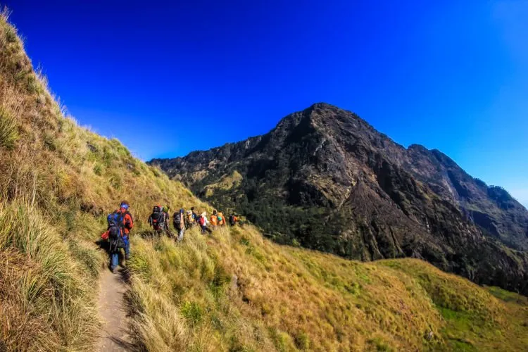 Teruntuk Papa dan Mama Tersayang, Ijinkan Ananda Mendaki Gunung Rinjani... 5
