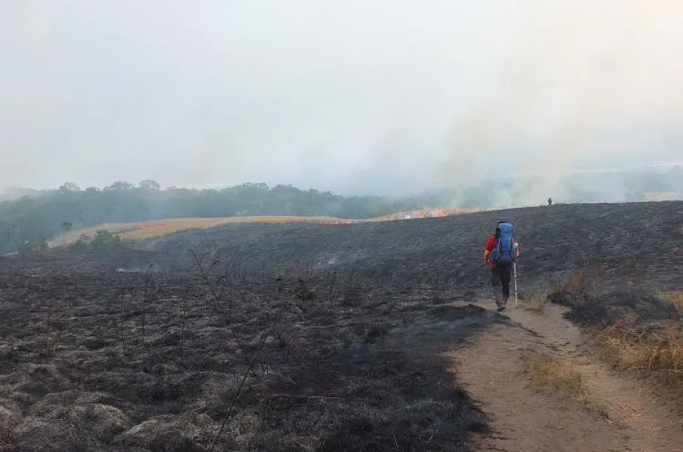 Willem Sigar Tasiam, Pencetus Maraton Gunung di Indonesia yang Akan Taklukkan 50 Gunung dalam 40 Hari! Luar Biasa! 10