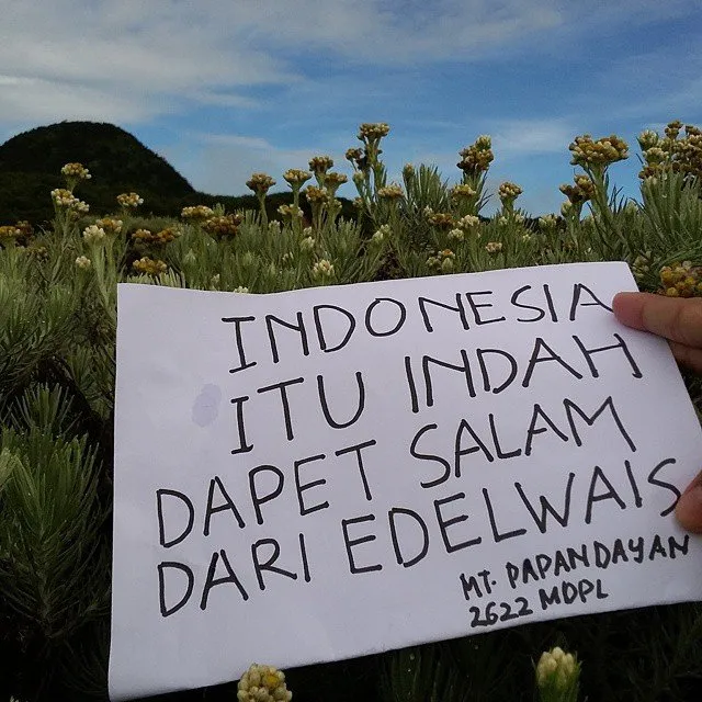 Please! Jangan Lagi Menulis