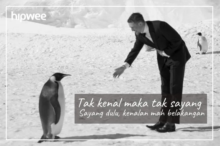 Kamu yang Lagi Butuh Hal Buat Bikin Ketawa, Baca 10 Peribahasa Kekinian Ini Aja! 13