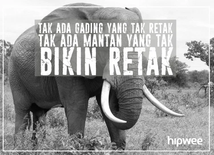 Kamu yang Lagi Butuh Hal Buat Bikin Ketawa, Baca 10 Peribahasa Kekinian Ini Aja! 14