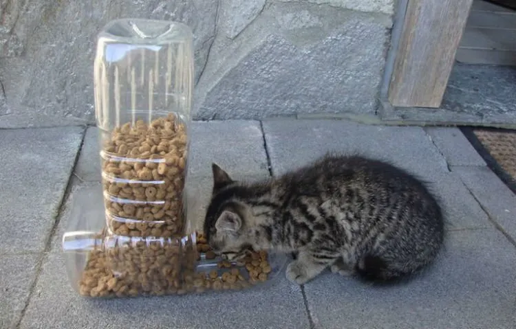 Foto-foto Kreasi Botol Bekas yang Gak Cuma Apik, Tapi Juga Bermanfaat. Kamu Pasti Bakal Gatal Pengen Bikin Juga! 42
