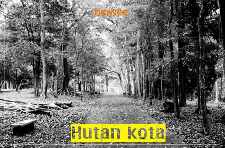 Cowok Indonesia Emang Paling Kreatif Sedunia. Manfaatin 8 Tempat Ini Bisa-bisanya...... 16