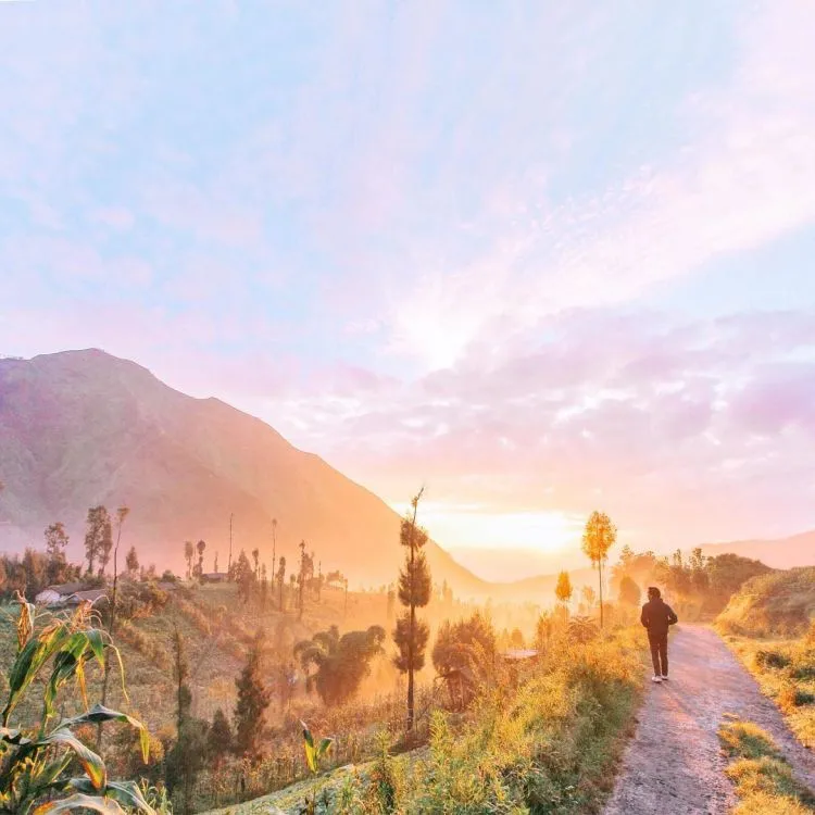 Bingung Mau Bikin Caption Foto Traveling di Instagram? Coba Deh Gunakan 10 Petikan Lirik Lagu Ini! 12