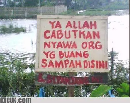 Penyu-penyu ini Begitu Tersiksa karena Sampah Menjerat Tubuhnya. Wahai Manusia, Sadarlah Segera! 14