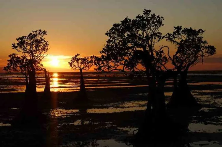 Menemukan Cuilan Surga di Timur Indonesia. Pulau Sumba, Anugrah Tuhan yang Tiada Duanya! 9