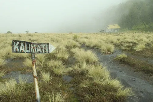 Lagi, Berita Mengejutkan dari Gunung. Dua Pendaki Asal Cirebon Dikabarkan Hilang di Gunung Semeru! 5