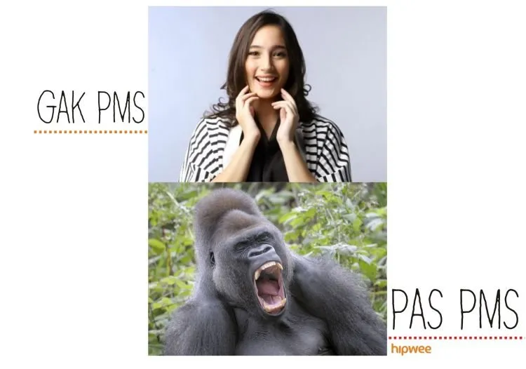 Ngeluh Langsung ke Cewek PMS Sama Aja Cari Mati, Terpaksa Kita Mengungkapkan Lewat 11 Gambar Ini 17 AAAAAAAAAAAAAAA