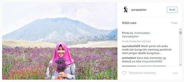 Dikira Lavender, Eh Ternyata Verbena. Tanaman Indah di Semeru yang Boleh Kamu Petik Sepuasnya! 10