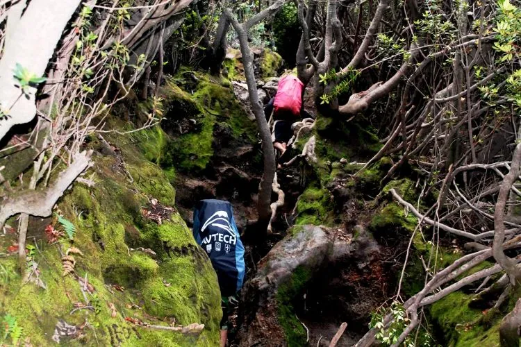 Hikmah dari Kematian Ike, Sang Pendaki Rinjani. Mendakilah Gunung Secara Legal dan Sesuai Izin Resmi! 7