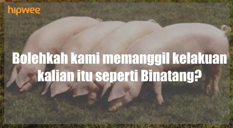 Buat 14 Laki-Laki Brengsek yang Tega Memperkosa Yuyun, Ini Celotehan Buat Kalian! 13
