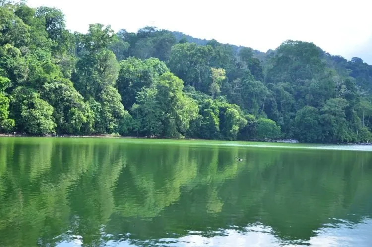 Perkenalkan, Inilah Keindahan Pulau Bawean. Sekeping Nirwana di Laut Jawa yang Menawan! 11