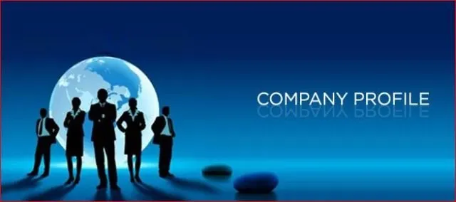 Dengan mengetahui tentang company profile perusahaan yang anda tuju,akan ada banyak nilai tambah bagi kamu.