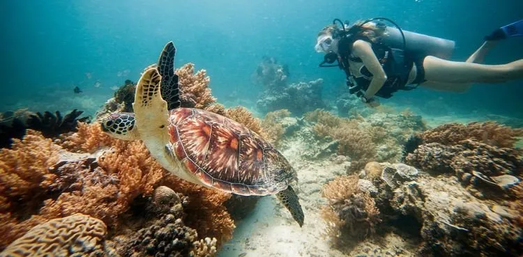 Gili Trawangan Memang Pulau Super Romantis! Ada 10 Aktivitas Seru yang Bisa Kamu Nikmati Bersama Pasangan Tercinta! 12