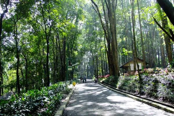 Nggak Cuma Pabrik Doang. Ternyata Ada 8 Destinasi Wisata Seru nan Kekinian di Tangerang! 13