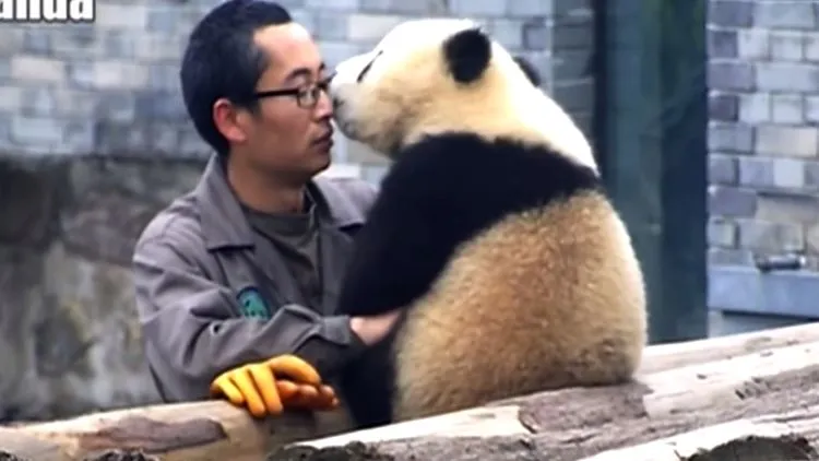 Parade Foto 'Zookeeper' dan Binatangnya Ini Lucu Banget Deh. Bikin Kamu Gemes Sendiri 18
