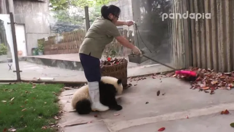 Parade Foto 'Zookeeper' dan Binatangnya Ini Lucu Banget Deh. Bikin Kamu Gemes Sendiri 17