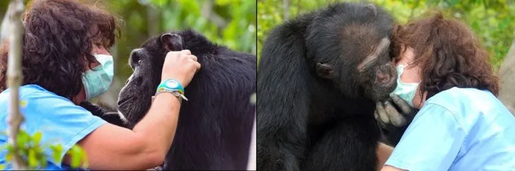 Parade Foto 'Zookeeper' dan Binatangnya Ini Lucu Banget Deh. Bikin Kamu Gemes Sendiri 14